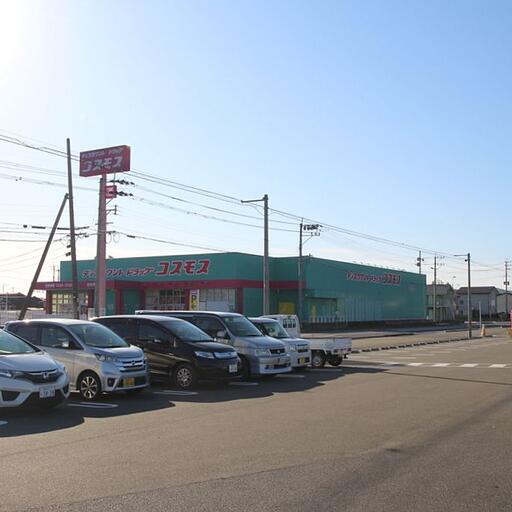 コスモス財光寺店…400m