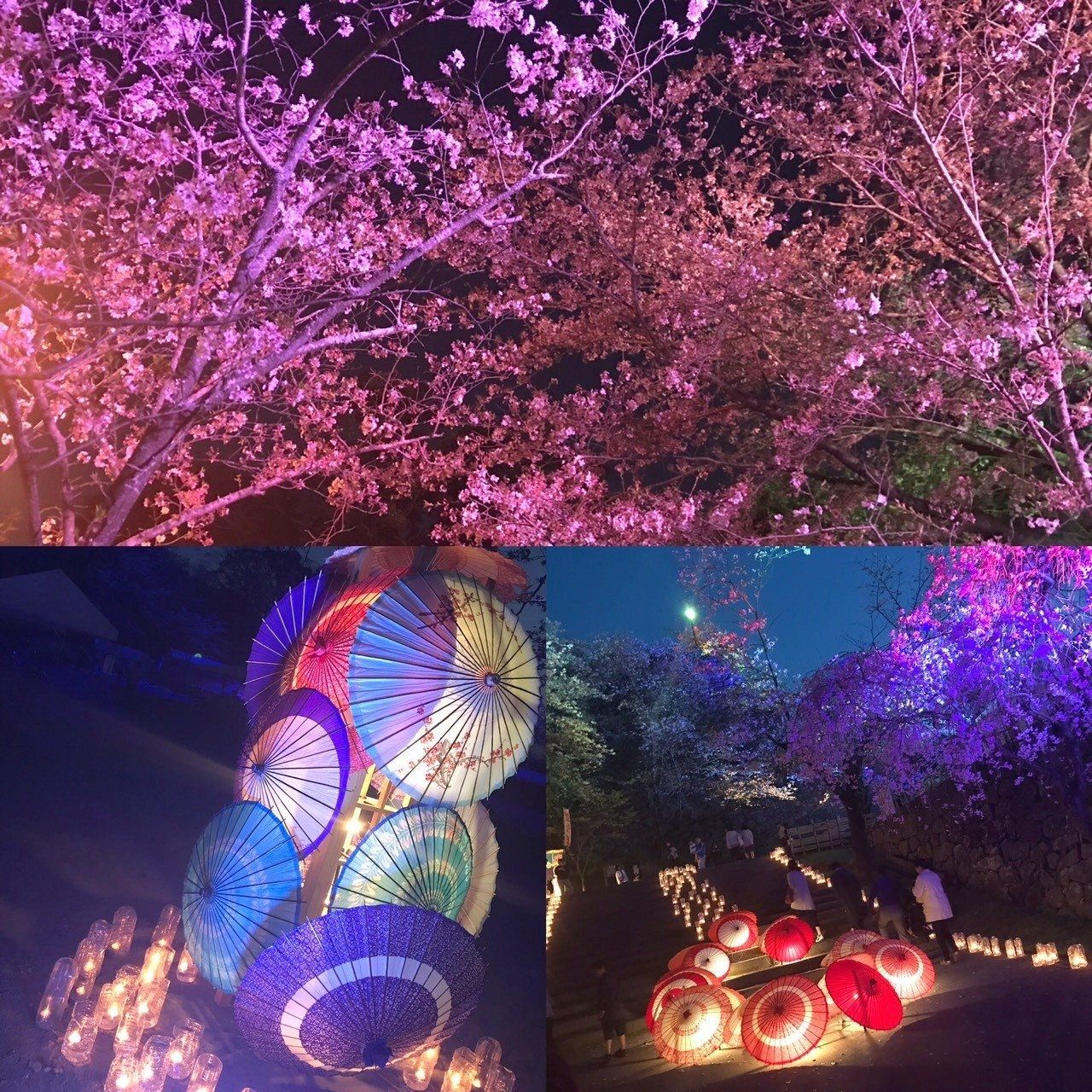  ☆ 夜 桜 ☆