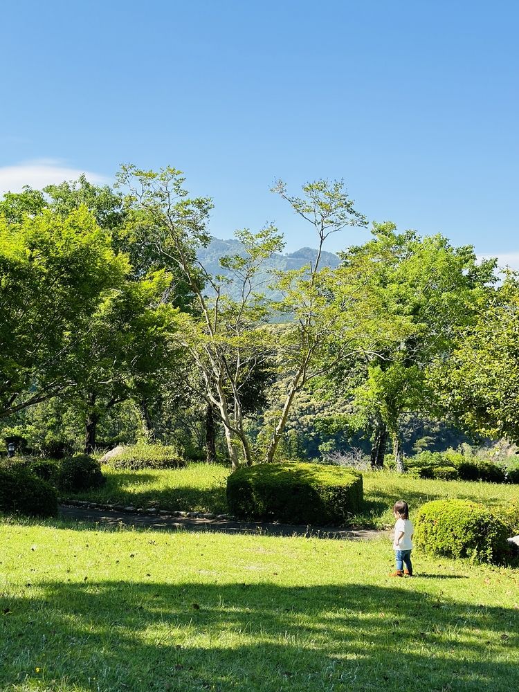 週末恒例