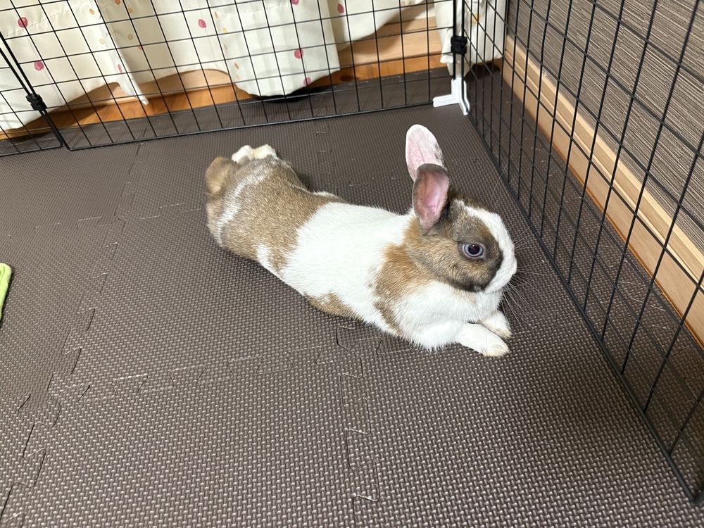 食欲旺盛！